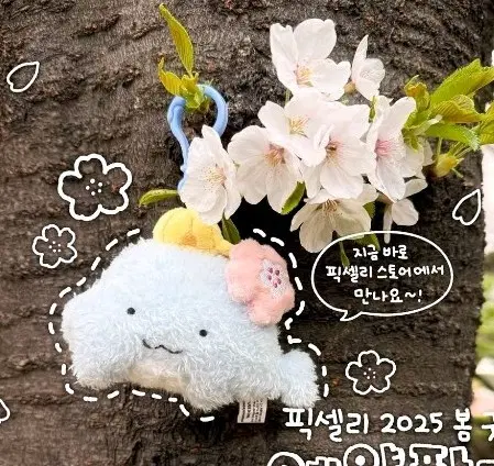 잠뜰 봄 벚꽃 인형 키링