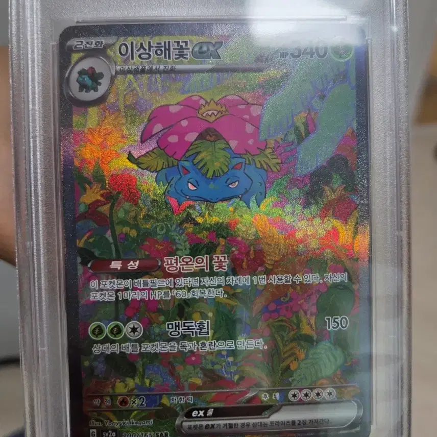 포켓몬 2023 포켓몬 151 이상해꽃 ex 스페셜 아트 레어 민트 PSA9 사진 2