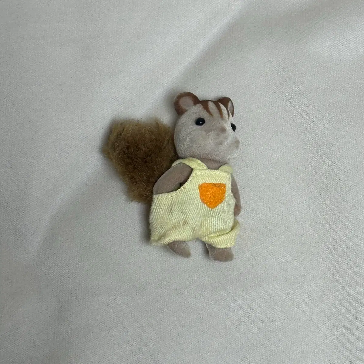 실바니안 호두다람쥐