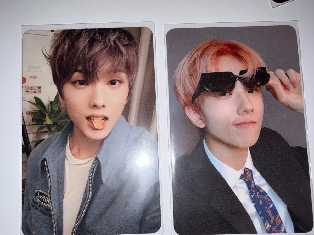 엔시티 드림 지성 포카 포토 일괄 판매