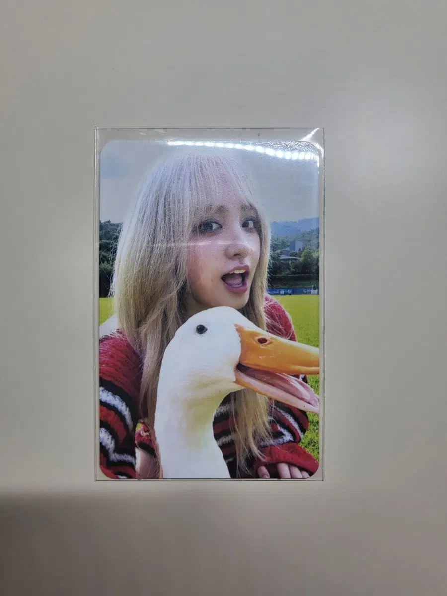 마인 사운드웨이브 럭키드로우 리즈