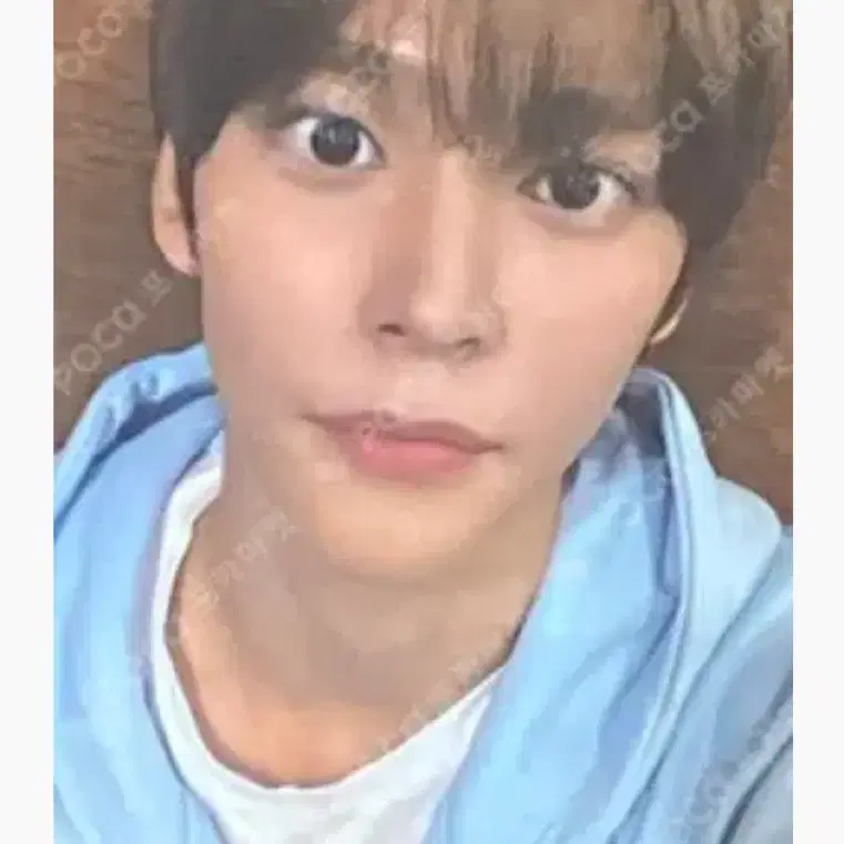 라이즈 은석 앤톤 포토카드 양도