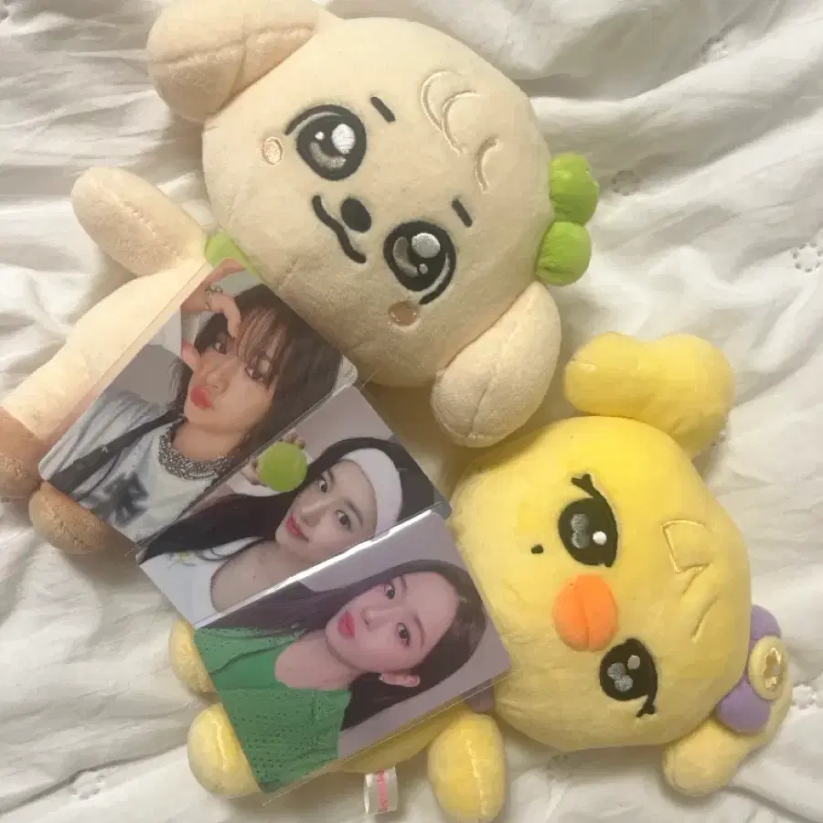 아이브 미니브인형 강안지 나오리 덤 마니 드려요ㅜ