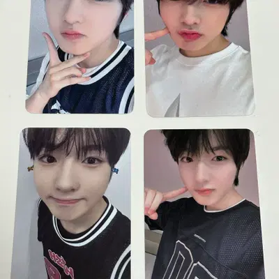 Nct wish 사쿠야 포카 + 앨범 일괄