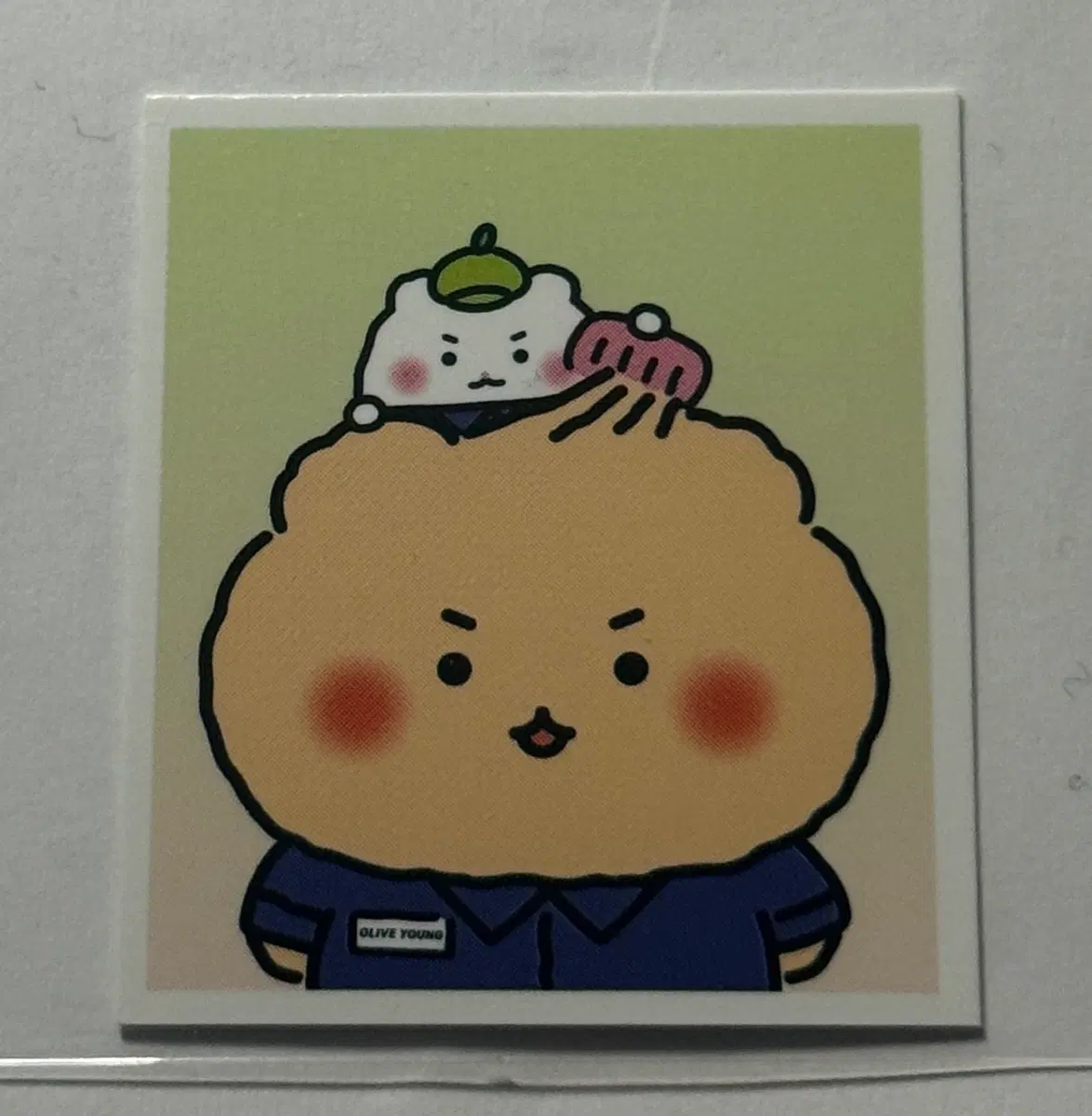 망그러진곰 망곰 올리브영 증사
