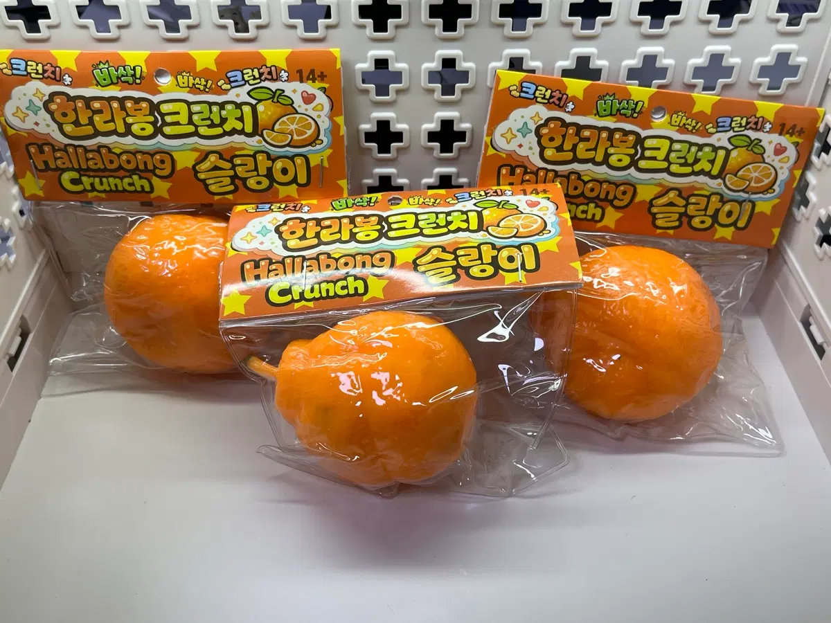 한라봉 크런치 슬랑이 새상품