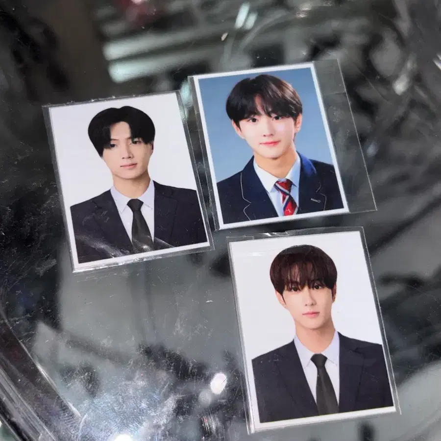 엔하이픈 정원 제이 증사