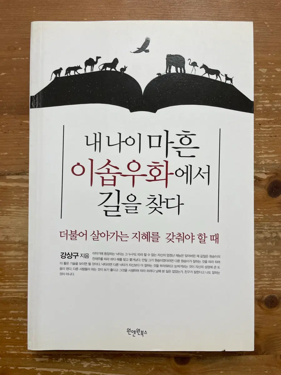 내 나이 마흔 이솝우화에서 길을 찾다 - 강상구