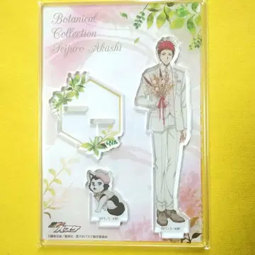 쿠로코의 농구 아카시 세이쥬로 아크릴 스탠드 Botanical Collection