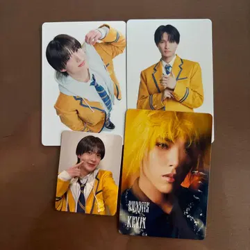 EBiDAN 미니 사진 BUDDiiS 트레이딩 카드