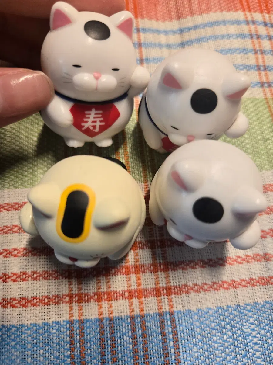 어뮤즈 복 고양이 가챠