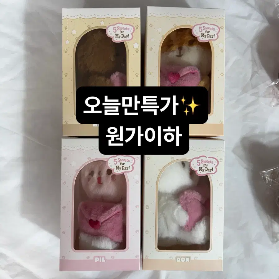 오늘특가) 데이식스 보이스 데니멀즈 일괄 원가이하