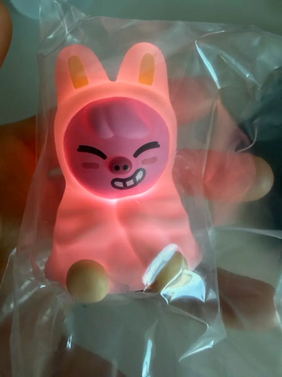 스키즈 스키주 라이트 가챠 반다이 돼끼 양도