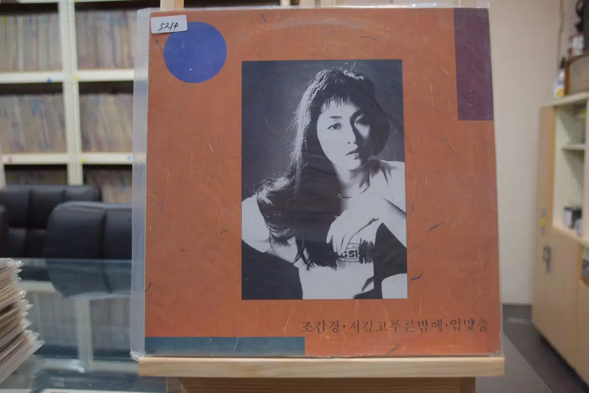 조갑경 민트 : 저깊고푸른밤에