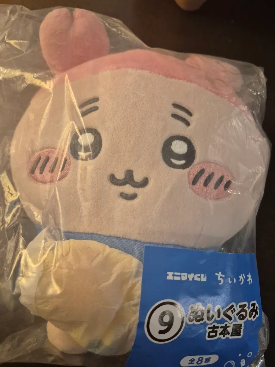 치이카와 여름쿠지 카니 누이 교환!