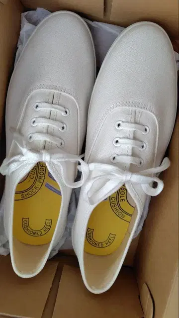 Keds 챔피언 Ox 화이트 24.5cm 미사용 새상품 케즈