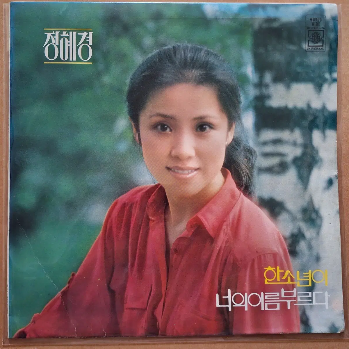 정혜경 한소년이/너의 이름부르다 LP