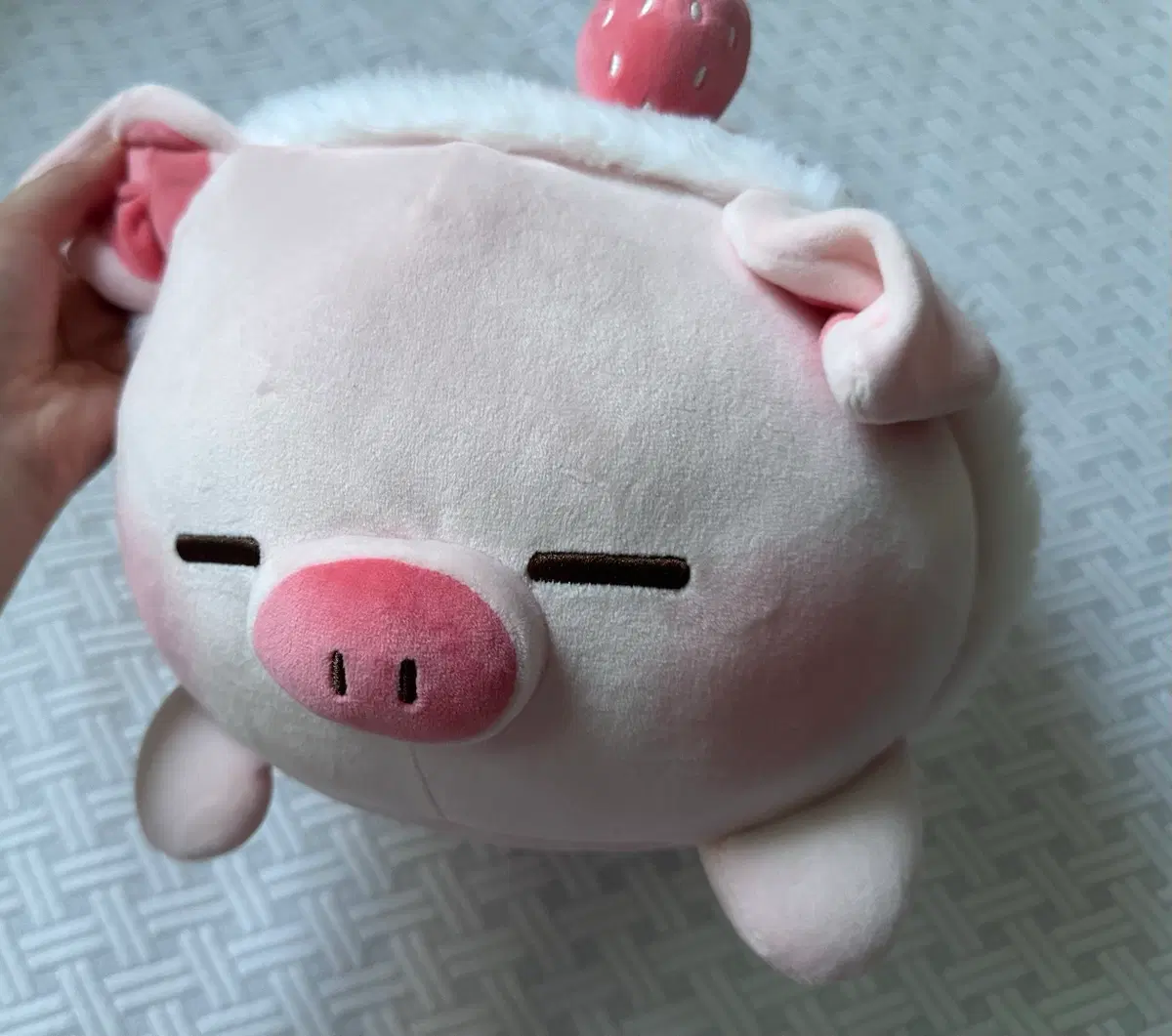 돼지 인형 30cm 정도