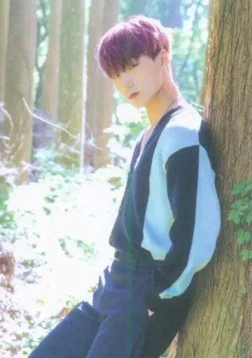 ATEEZ Dreamers SAN 트레이딩 카드 숲