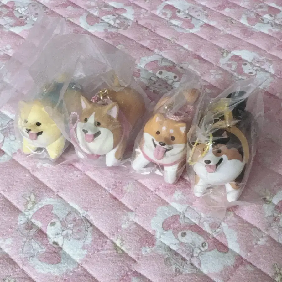 강아지 키링 가챠