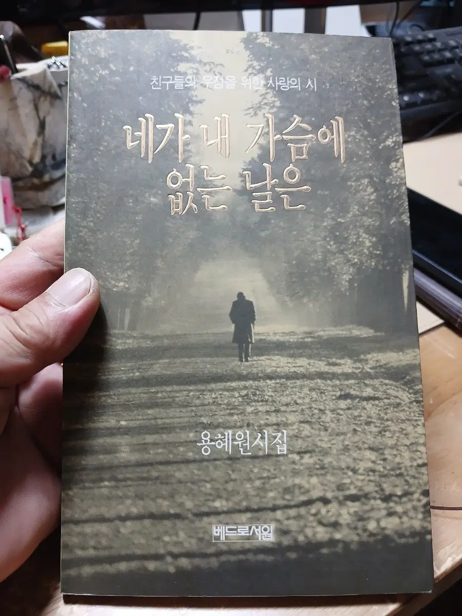 용혜원시집 네가 내 가슴에 없는 날은94년판