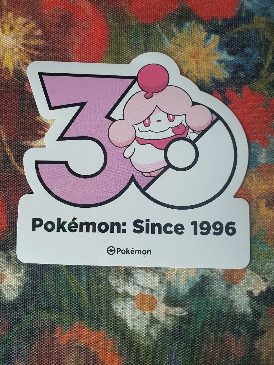 포켓몬 30주년 로고 스티커 나루림