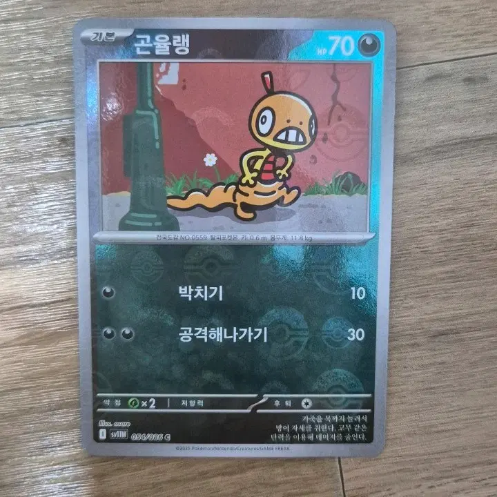 포켓몬카드 곤율랭 054/086 몬스터볼 홀로