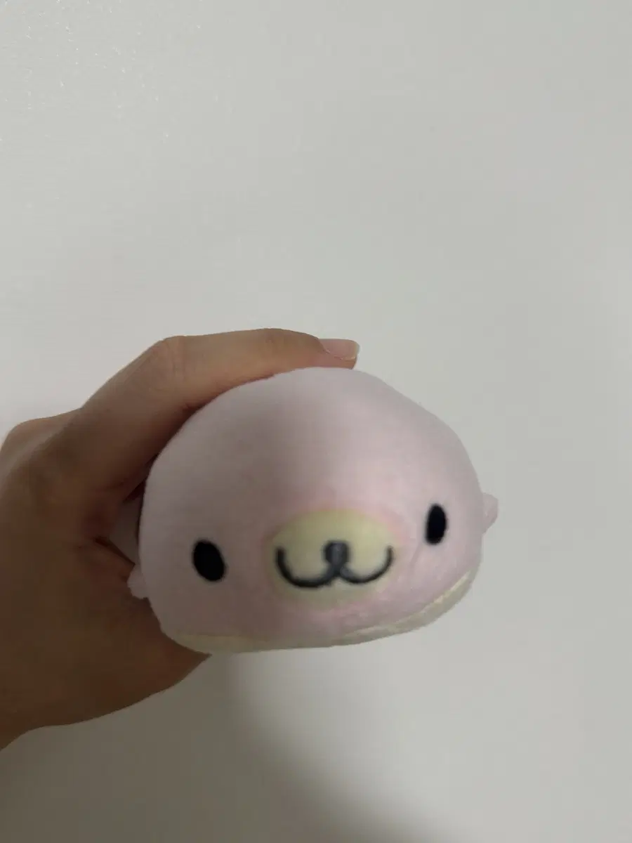 마메고마 사쿠라 고마