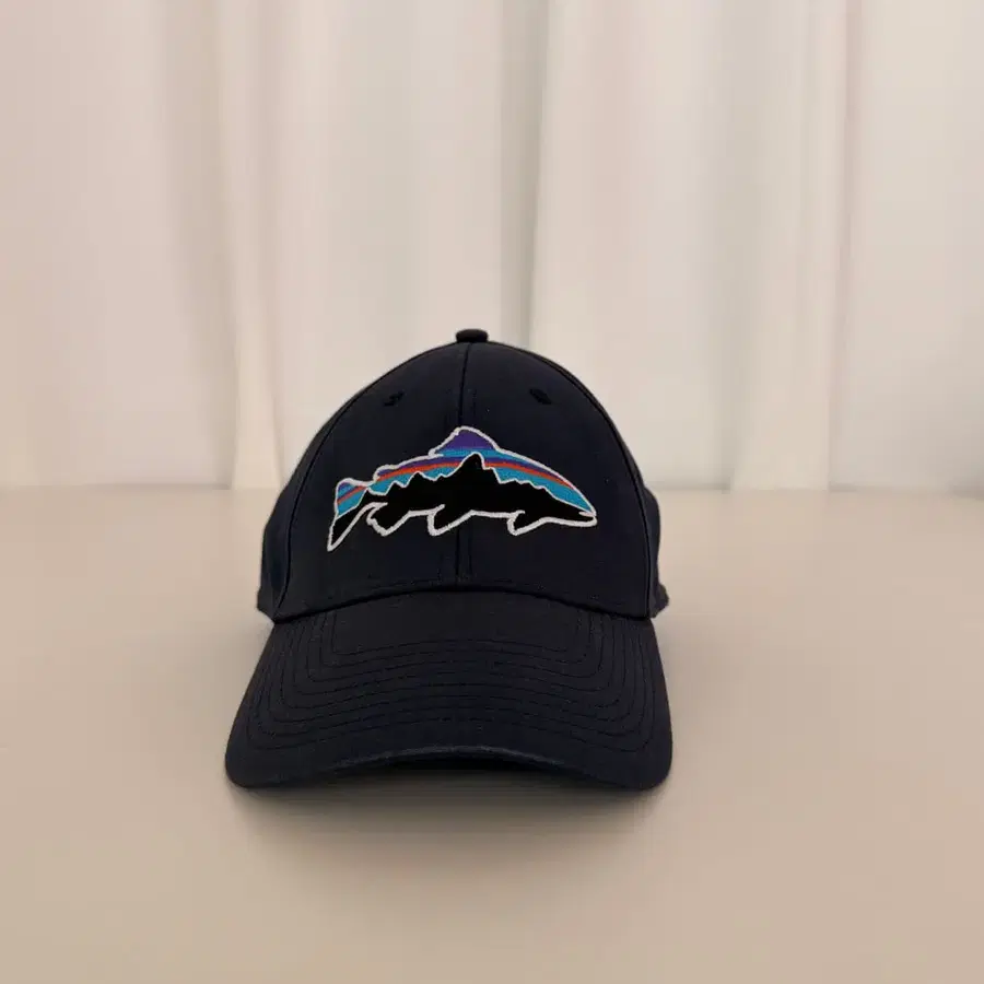 파타고니아(patagonia)피츠로이 트라우트 트러커 햇