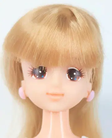 제니 일본제