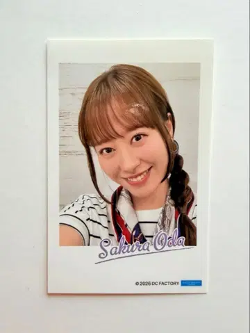 오다 사쿠라 컬렉션 셀피 스티커 할로콘 2026