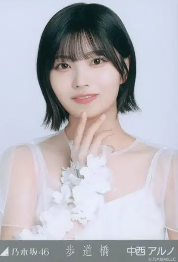 노기자카46 2025년 2월 랜덤 브로마이드 나카니시 아루노 보도교 요리