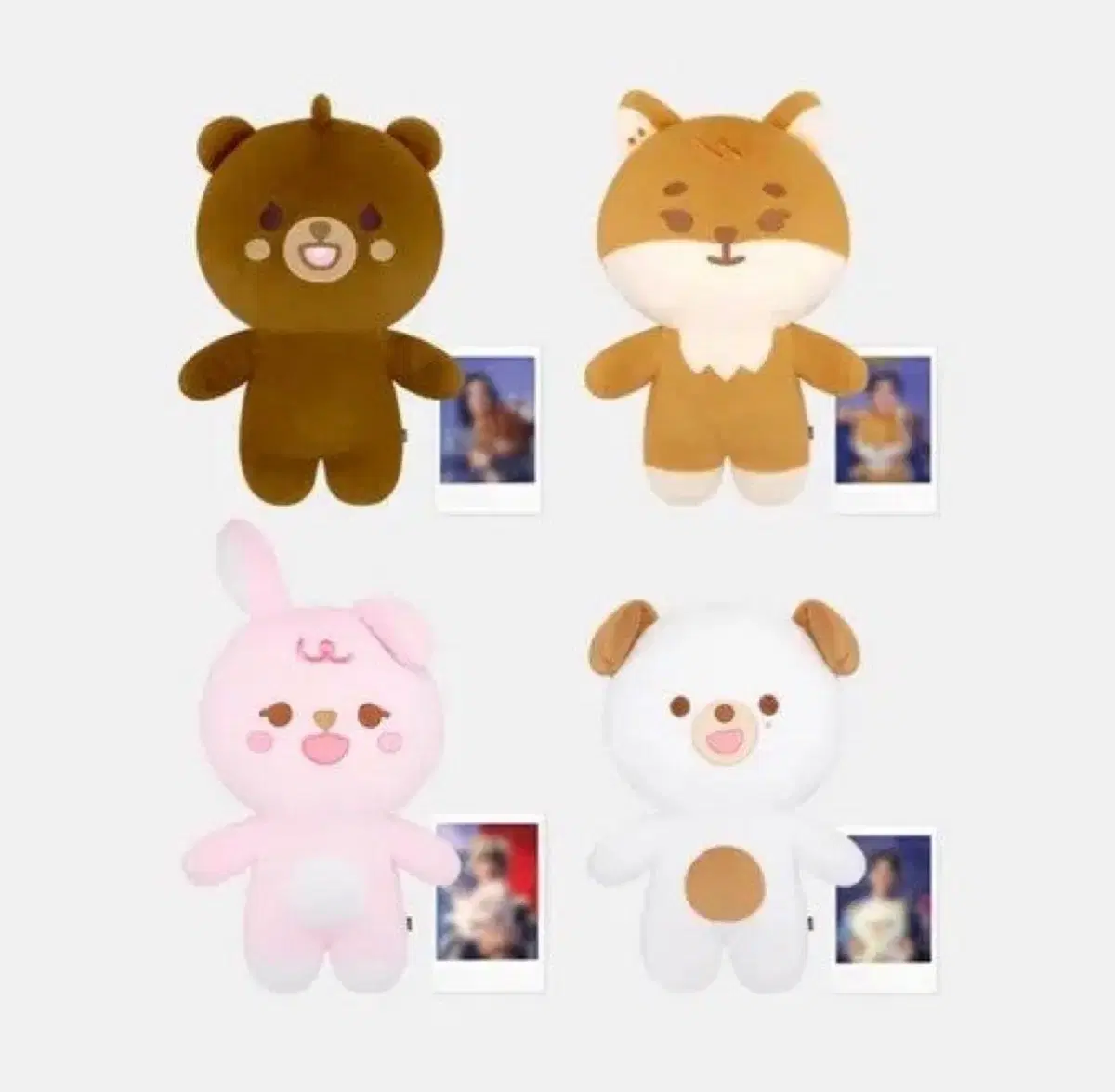 데이식스 자이언트 쁘띠멀즈 필