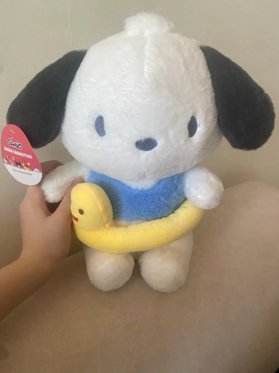 포차코 인형