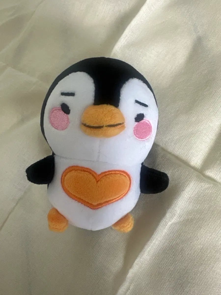 이준호 앉은펭