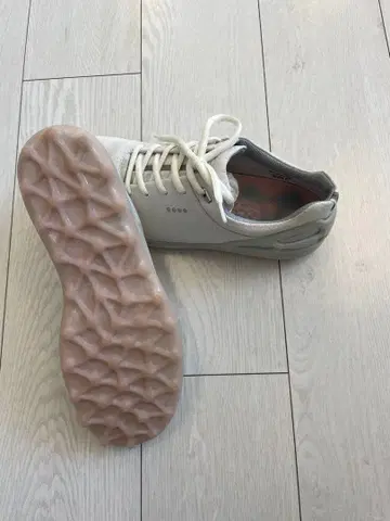 ECCO 골프화