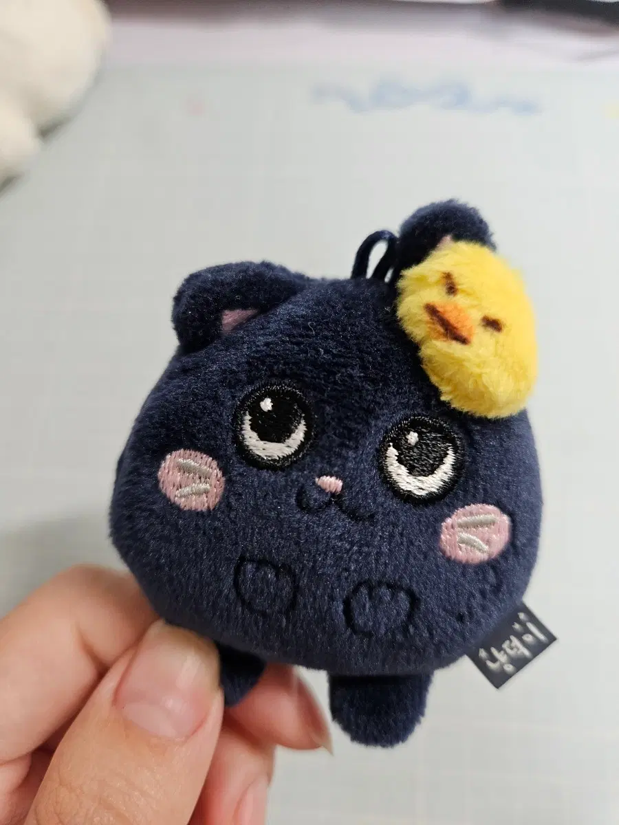 미니 토냥덕