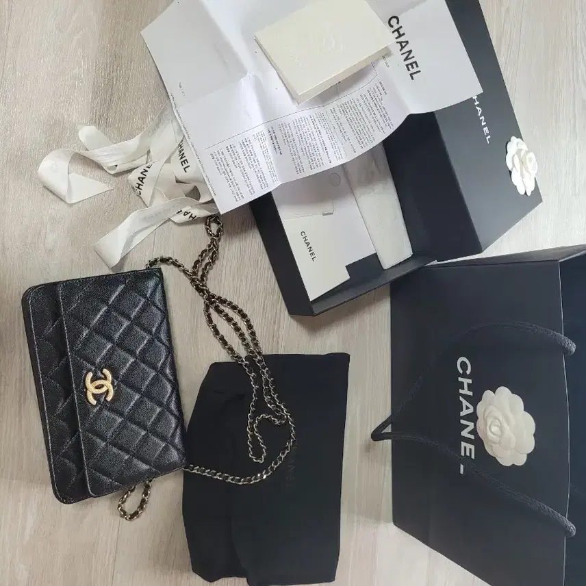 샤넬 시즌 woc 사진 2