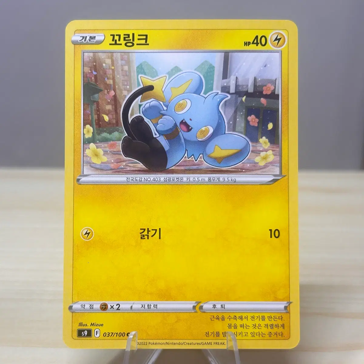 [포켓몬카드] 꼬링크 s9 037/100 C