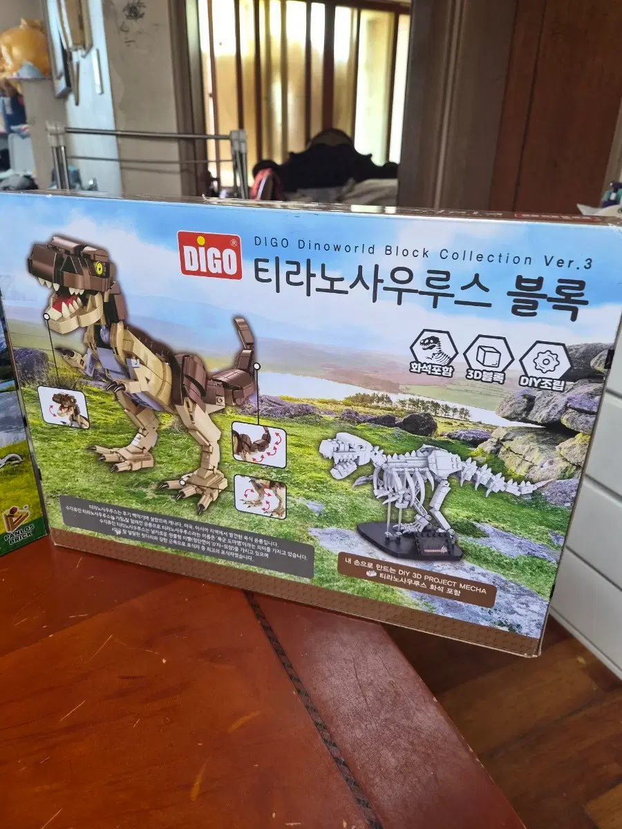 DIGO 티라노사우루스 블록 (화석 포함)