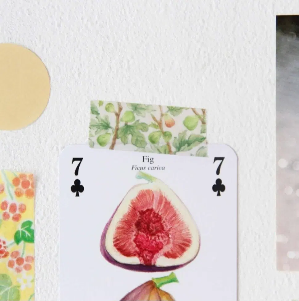[boki] Fig Tree Cloth 마테