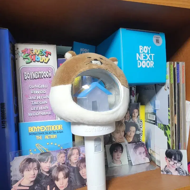 보넥도 일괄
