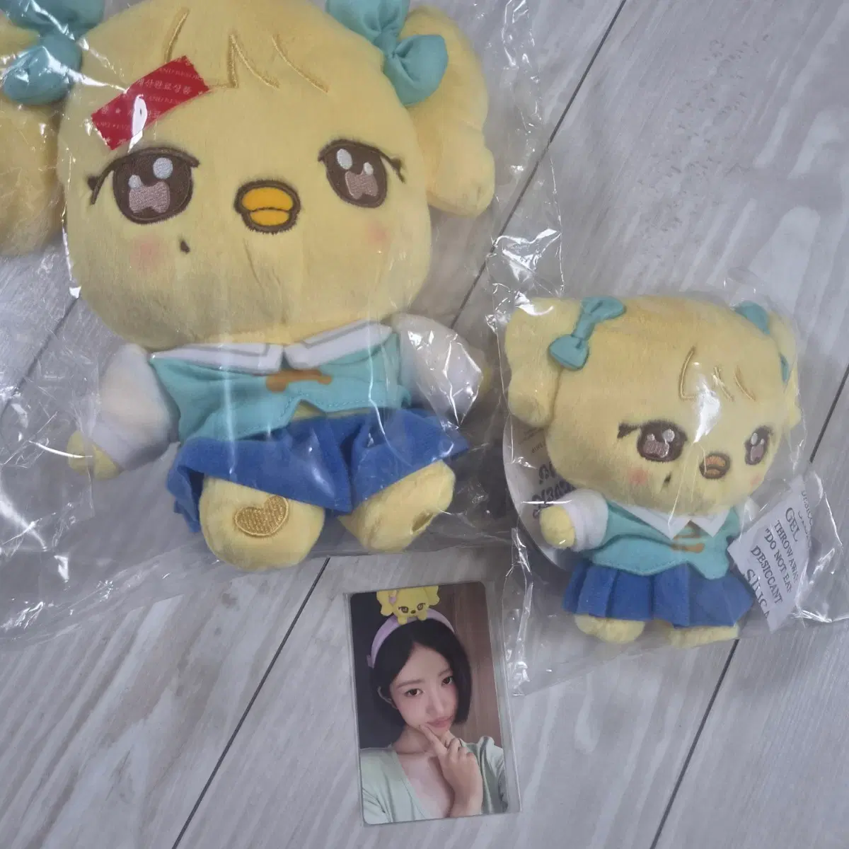 아이브 에버랜드 레이굿즈