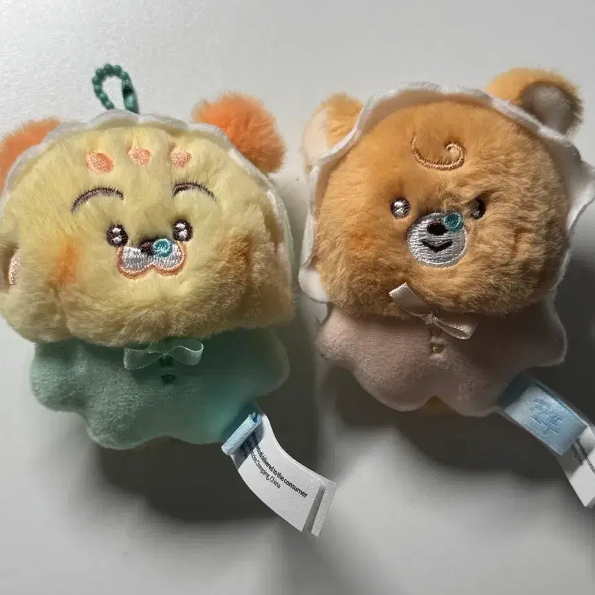 エンシティドリームドリーミーズ人形譲渡 nct dream