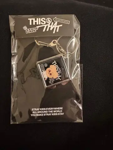 StrayKids 스키즈 THIS&THAT POPUP MD 파피움