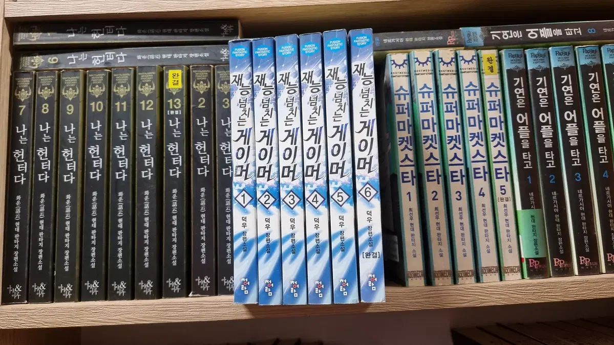 재능넘치는게이머 1-6 완 덕우 판타지 소설
