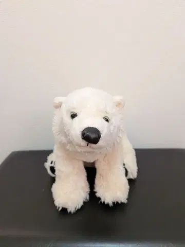 택 포함 새상품 북극곰 어미 봉제 인형 COLORATA 북극곰