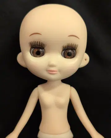 펫웍스 오데코짱과 닛키 ninita의 오데코짱