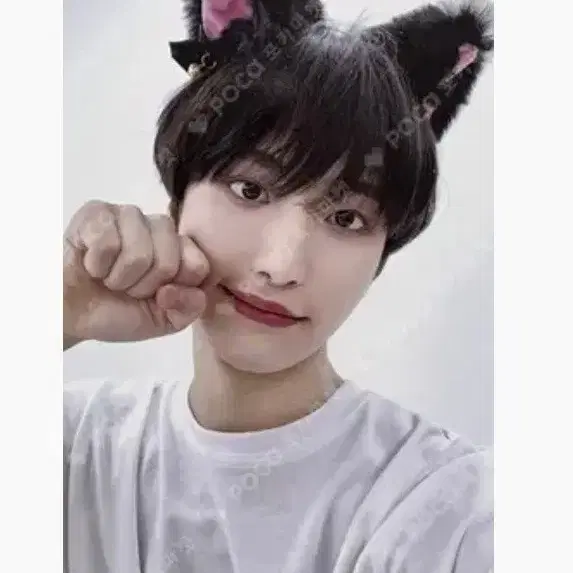 성화포카(사운드웨이브) 2장