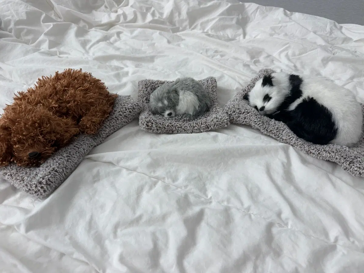 차량용인형